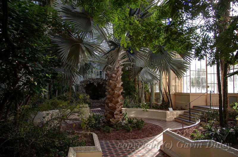 Glasshouse, Adelaide Botanic Gardens IMGP8823_4_5_fused.jpg